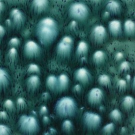 Bloomin Blue - 16 oz Mayco Jungle Gem Crystal Glaze Bloomin Blue - 16 oz Mayco Jungle Gem Crystal Glaze